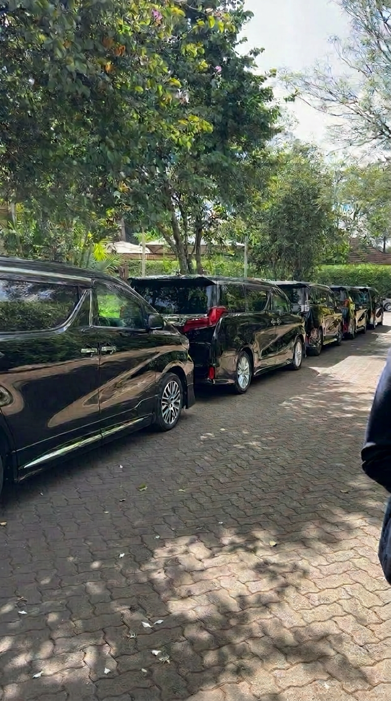 Safari Tours